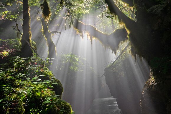 36 Amazing Natural Light Photography
